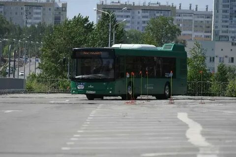 Автобус 567