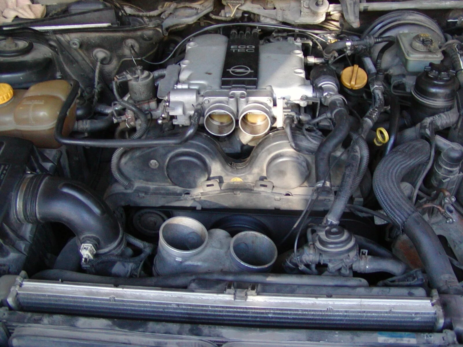 Opel omega двигатели. Мотор 2.5 Опель Омега. Опель Омега б 2.5 мотор. Мотор Опель Омега 2.5 v6. Опель Омега мотор 2.2.