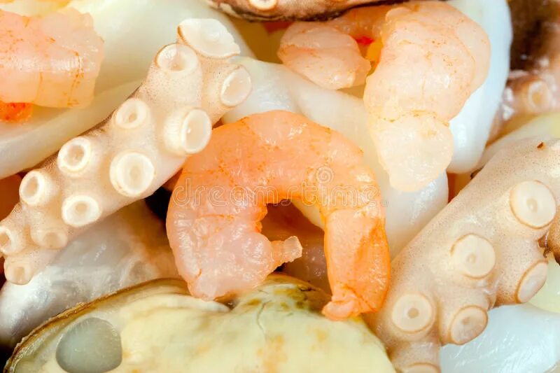 Едят ли кальмары креветок. Креветки и кальмары. Мидии кальмары Осьминоги креветки. Осьминожки кальмары креветки. Осьминоги кальмары морепродукты.