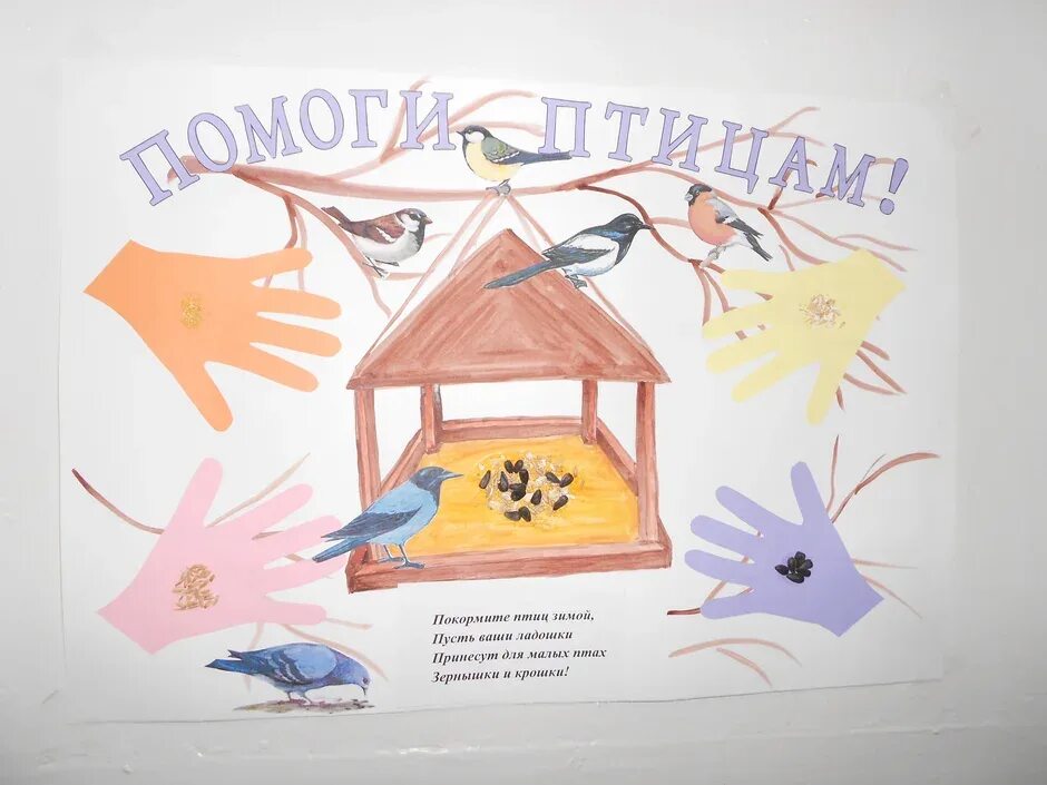 Проект помоги школе. Рисунки. Плакат в защиту птиц. Листовка в защиту птиц. Стенгазета на тему птицы.