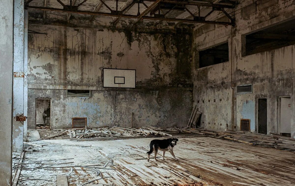 Как жить в 2023 году. Припять 2022. Чернобыль 2023. Припять ЧАЭС 1986. Чернобыль город призрак.