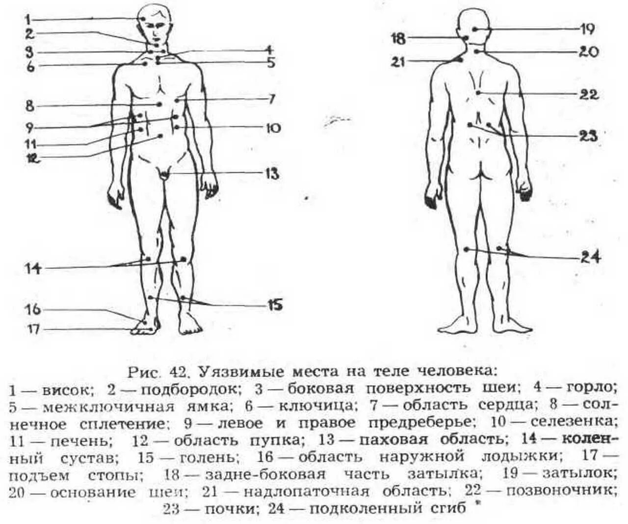 13 точка человека. Уязвимые точки на теле человека. Уязвимые места человека. Слабые места человека. Слабые места человека на теле.