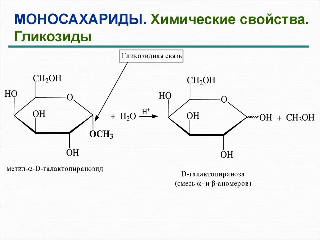 Связь 4 гликозидная. Альфа метил д галактопиранозид. Химические свойства гликозидов. Химические свойства моносахаридов гликозиды. Метил--d-галактопиранозида.