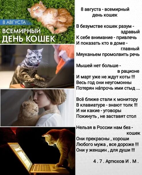 Всемирный день кошек. Всемирный день кошек 8 августа. Кошки Всемирный Всемирный день. "Всемирный день кошек": выставки книг.