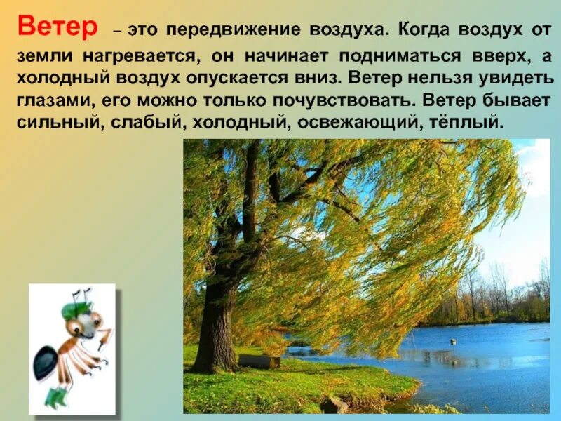 Ветер работник начало текста. Сообщение о ветре для 3 класса. Ветер доклад. Сочинение про ветер. Сообщение на тему ветер.