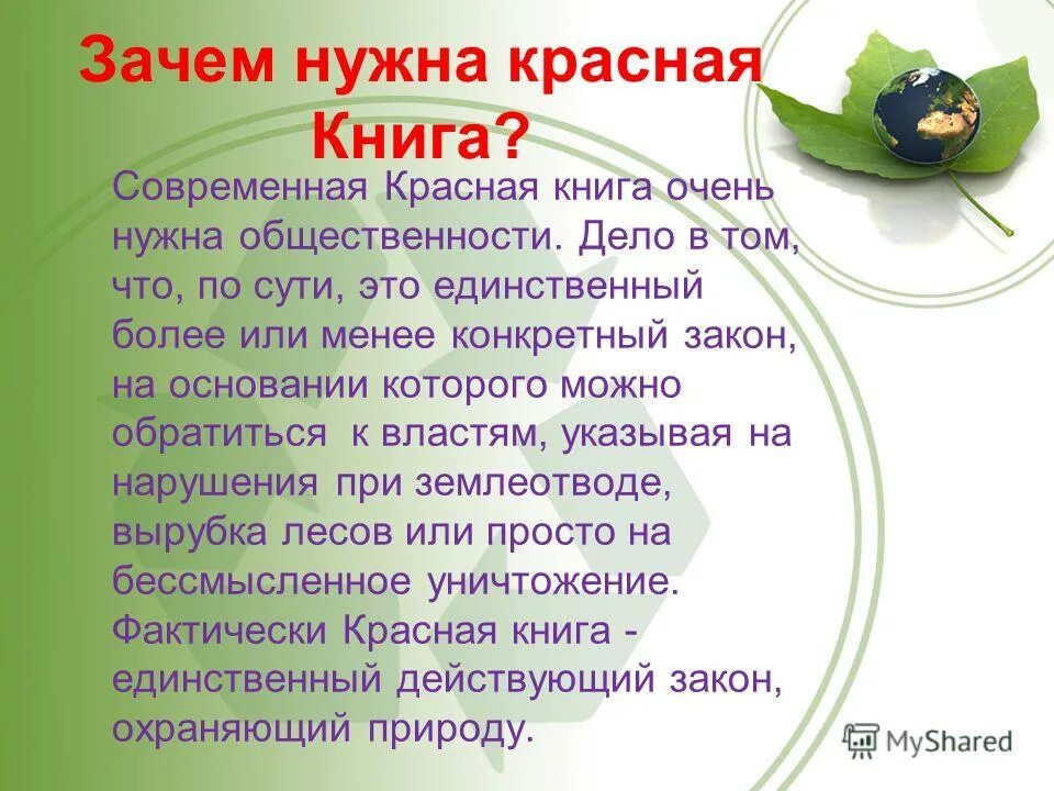 Красная книга предупреждает. Животные. Почему попадают в красную книгу. Почему красная книга красная. Почему красная книга красная.