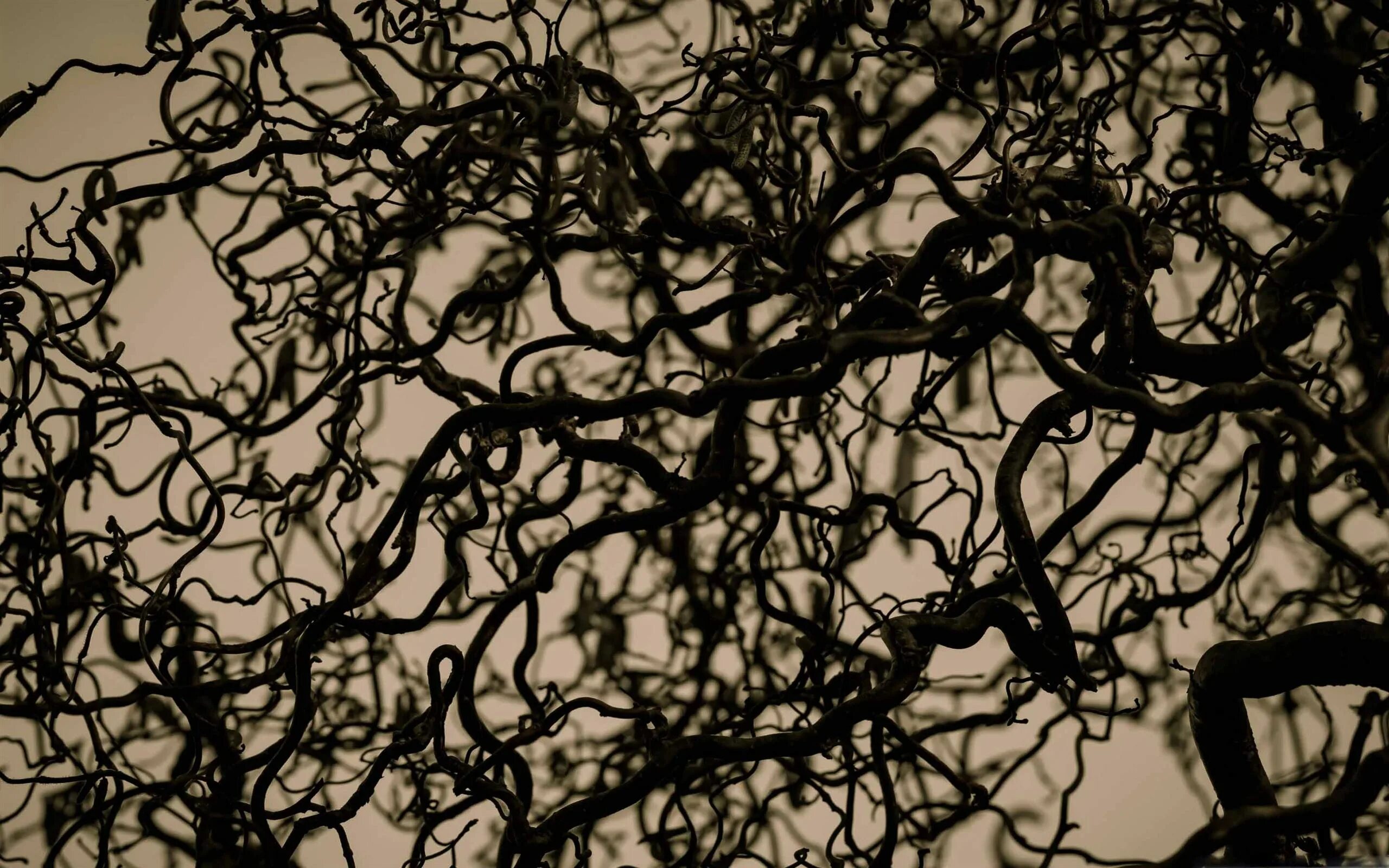 Столешница лесные ветви. Лесные ветви. Столешница 105 скиф зимние ветви. Столешница скиф зимние ветви. Зимние ветви 105 скиф.