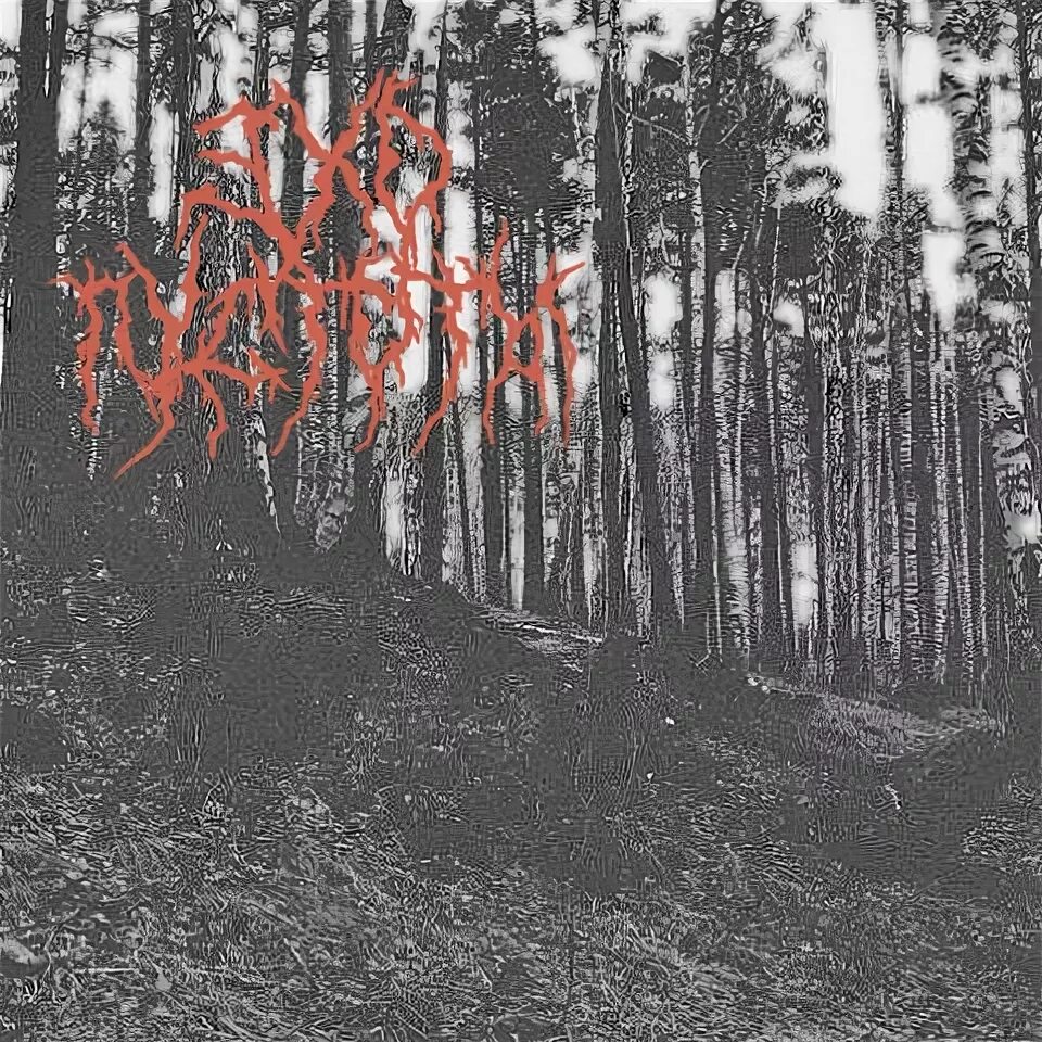 Эхо пустоты. Эхо пустоты. Майнкрафт данженс echoing void. Фото эхо пустоты. Эхо пустоты.