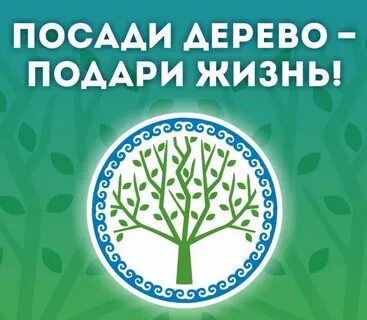 Зеленый башкортостан