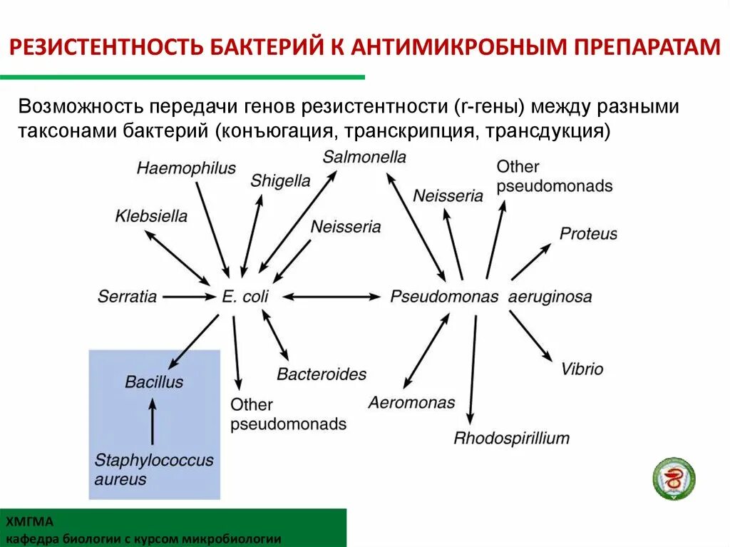 Механизмы устойчивости бактерий к антибактериальным препаратам. Устойчивость бактерий к противомикробным препаратам. Приобретенная устойчивость микроорганизмов. Резистентность бактерий к антимикробным препаратам. Ген резистентности