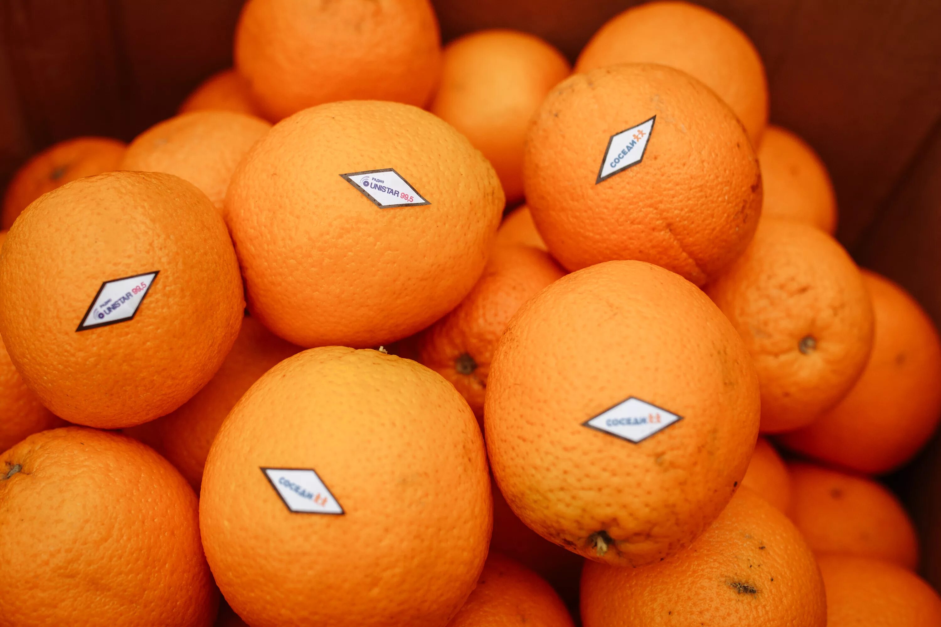 Апельсины страны производители. Апельсины Марокко. Производители апельсинов. Магазин апельсин. Апельсины производитель.