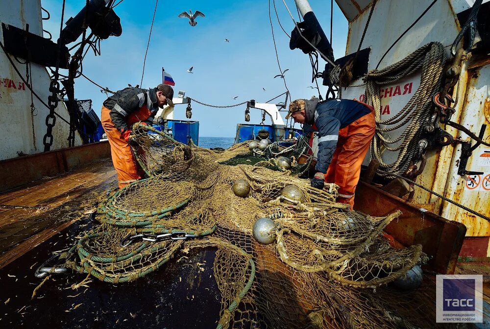 Добыча рыбы. Рыбный траулер. Японское море промысел. Промысловый лов рыбы. Прибрежный лов