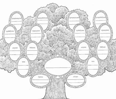 Дерево семьи шаблон рисунок - 55 фото