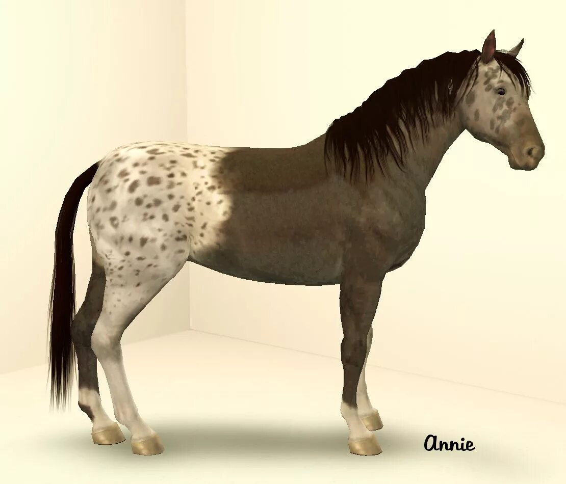 Симс 3 аппалуза. Аппалуза лошадь. sims 3 breed horse. интерактивная лошадь пятнышко. аппалуза крупный.