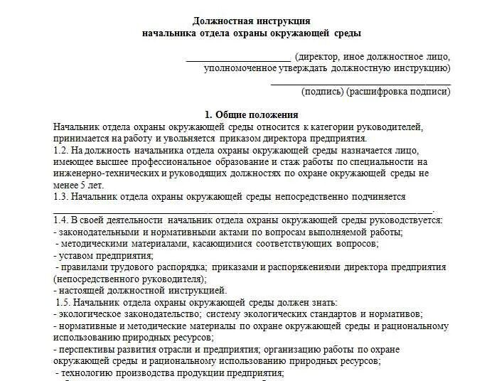 Должностная начальника охраны. Обязанности начальника охраны объекта должностные обязанности. Должностная инструкция начальника охраны. Начальник охраны обязанности. Должностная инструкция начальника охраны предприятия.