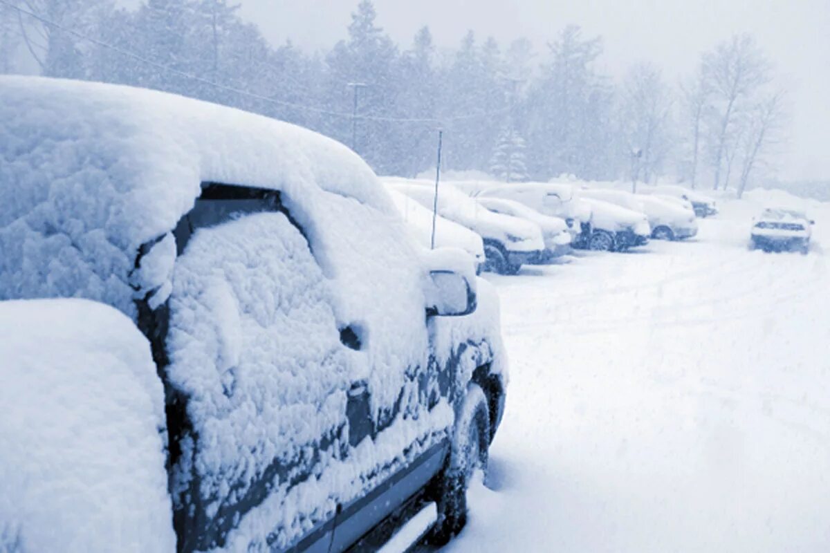 Машина в снегу. Замерзший автомобиль. Машина зимой. Машина в Мороз.