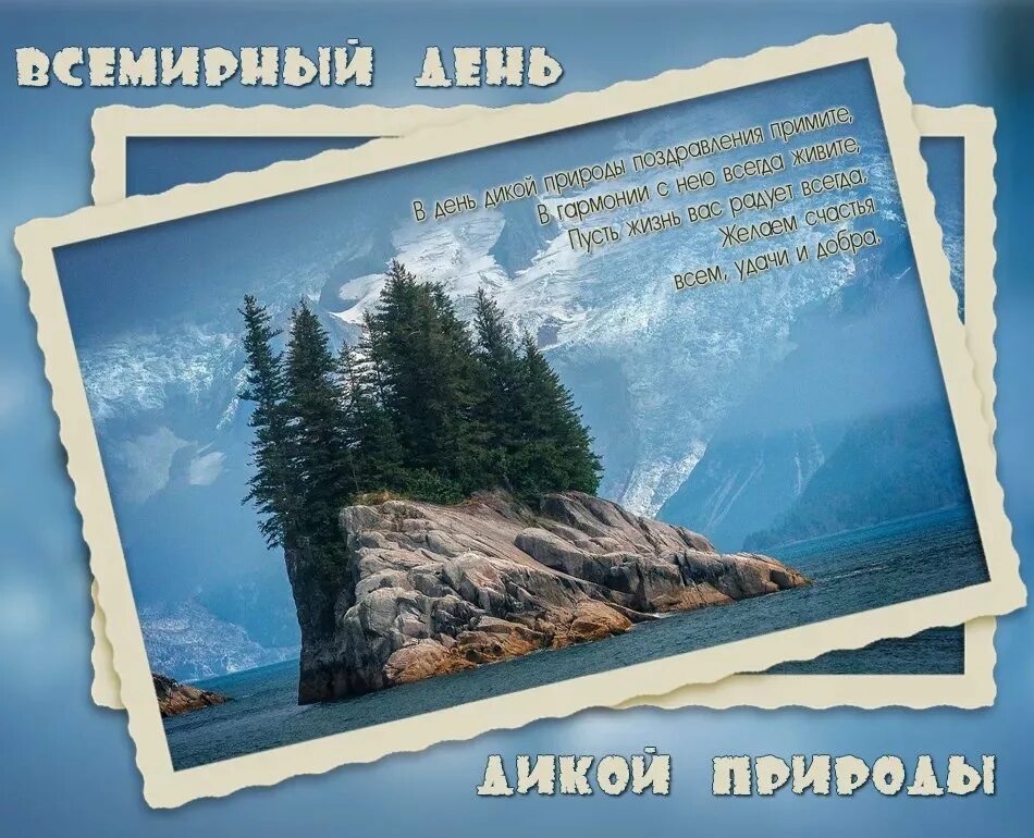 Всемирный день дикой природы мероприятия. Всемирныднь дикой природы. Всемирный день природы. День дикой природы.