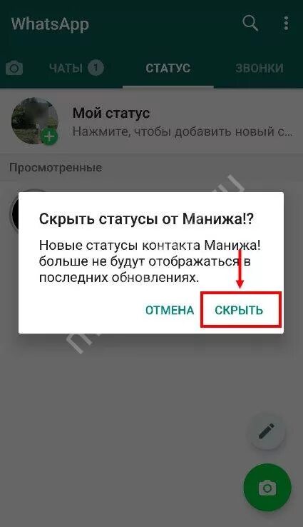 Статус в ватсапе. Скрытые ствиусыв ватцапе. Скрытый статус в ватсапе. Как сделать статус в ватсапе. В ватсапе статус стал внизу