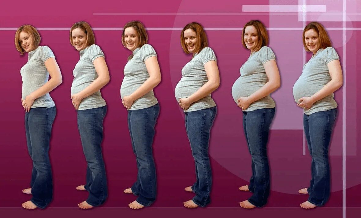Живот по неделям. Живот беременной женщины по месяцам. Живот на разных сроках беременности.