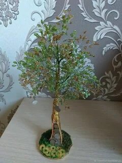 Денежное дерево спб