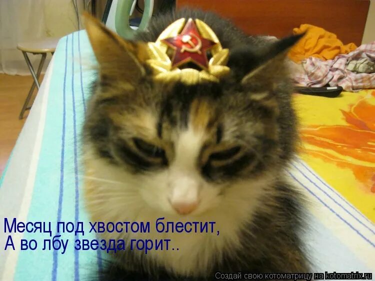 месяц под косой блестит а во лбу звезда. смешная звезда. месяц под косой блестит. месяц под косой блестит а во лбу звезда. месяц под косой.