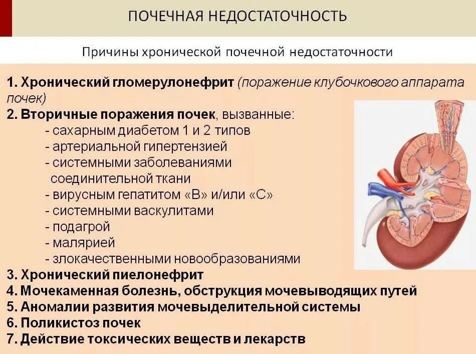 Боли при хпн
