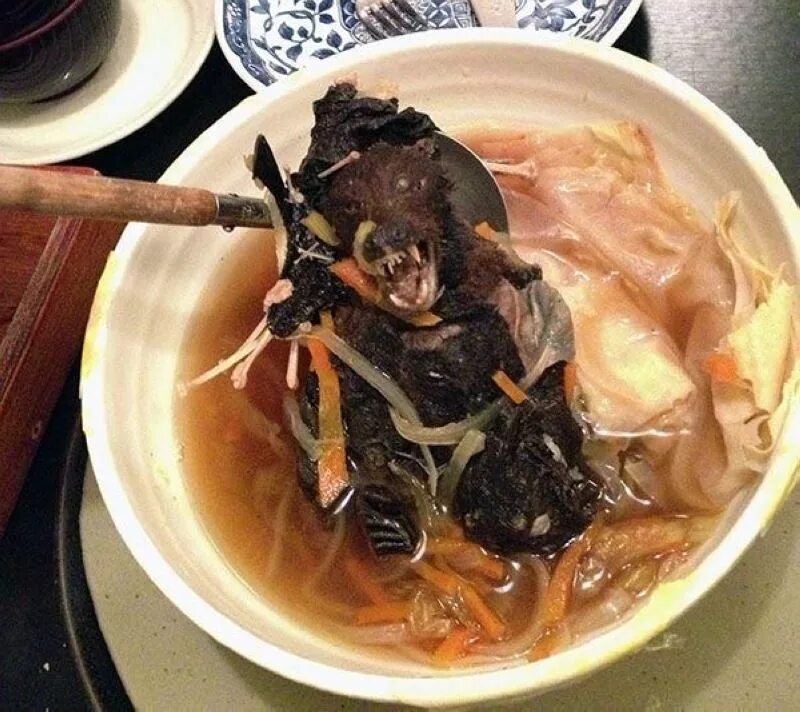 Ужасное блюдо. Китайское блюдо из летучих мышей. Китайский суп из летучей мыши.