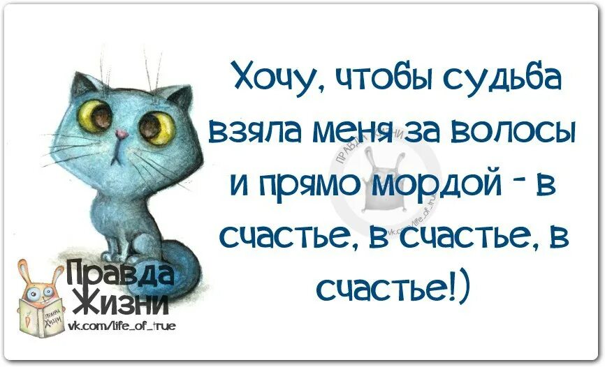 Я хочу в моем маленьком. Хочется счастья. Хочу счастья. Хочу счастья в жизни. Статус про печальку.