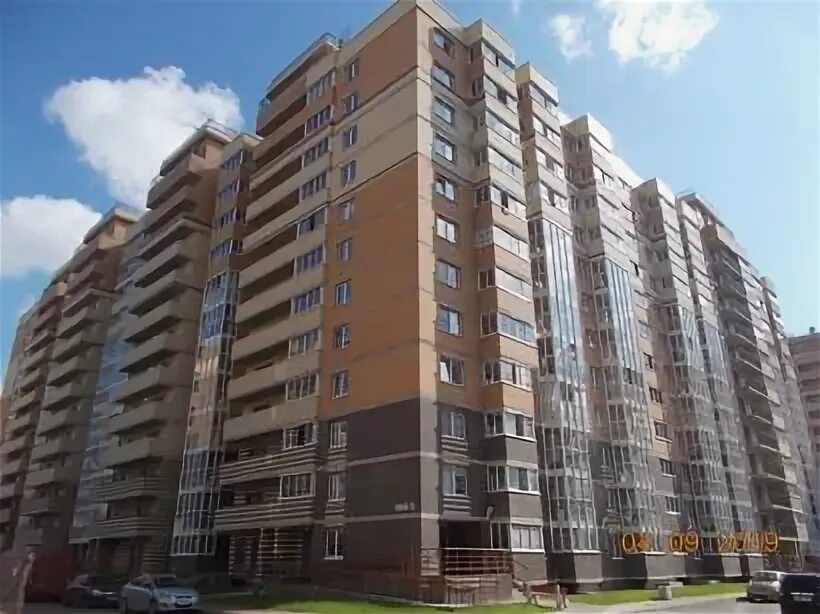 Голландская 5 янино. Янино ул голландская 10. Янино ул голландская 10. Население янино-1. Гп янино 1.