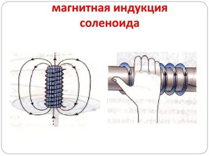 Как расположены магнитные