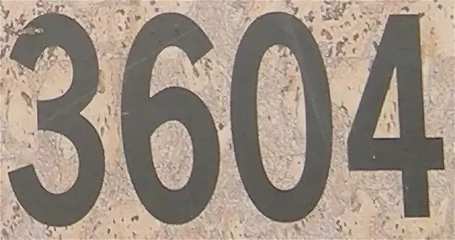 360 дней 1
