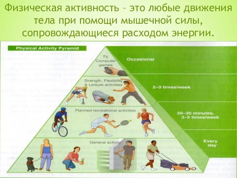 Физическая активность это термин. Пирамида физической активности. Физическая деятельность. Виды физической активности.