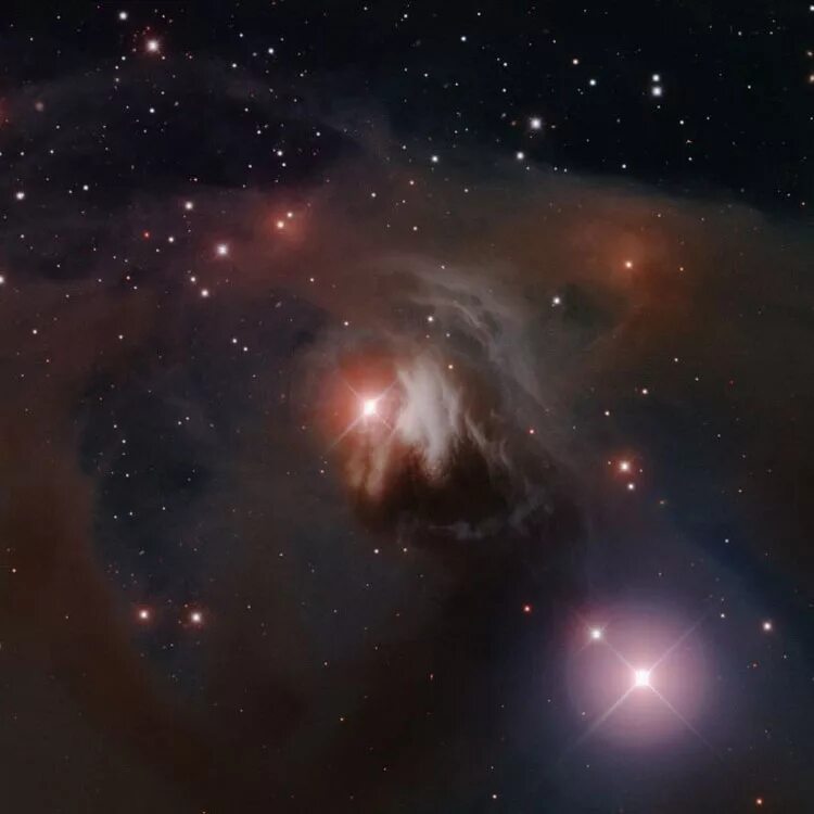 Туманность ngc 1555. Звезды типа т тельца. T тельца ( t tau) звезда. Типа т тельца. Звезды типа т тельца.