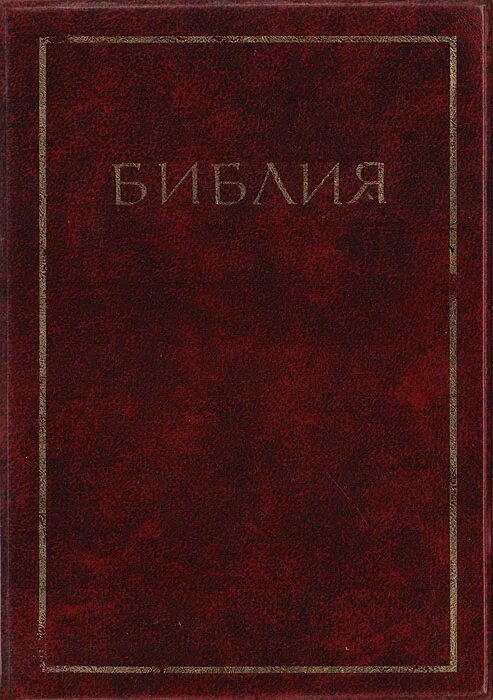 завести новый. библия / рбо. библия ветхий завет и новый завет. новый завет канонический. библия синодальный перевод.