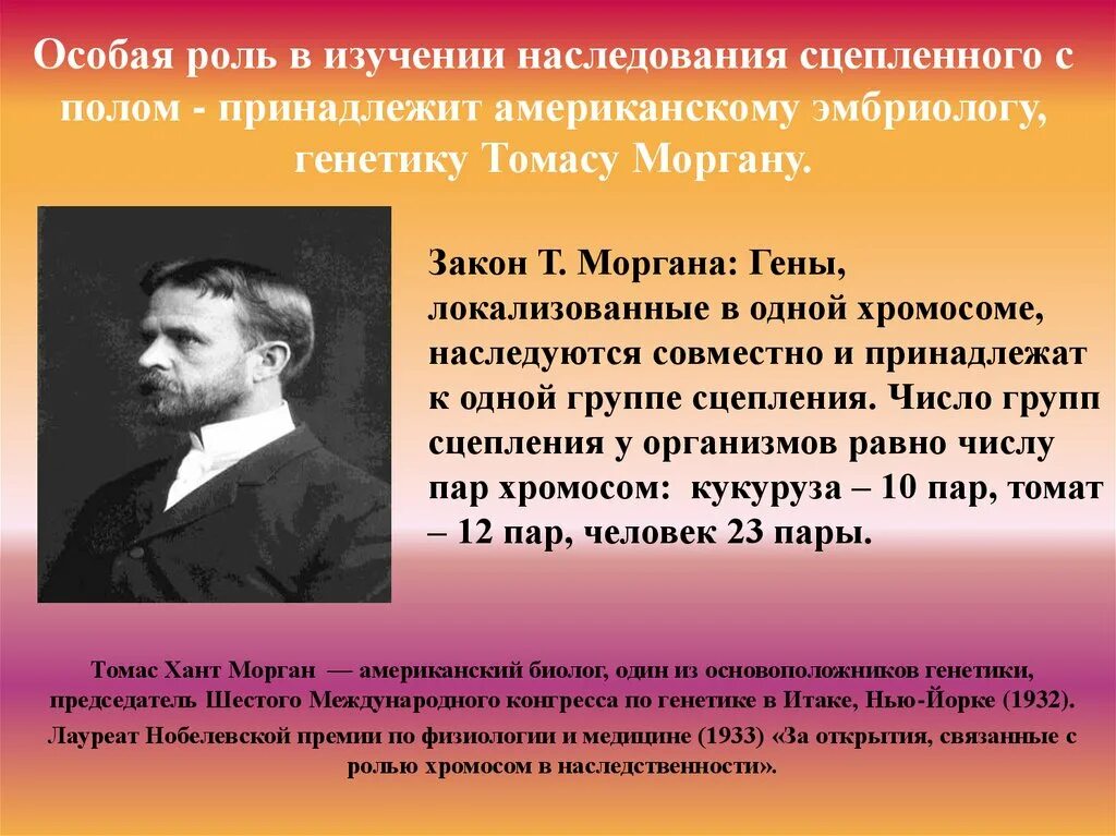 Развитие теории наследственности. Закон сцепленного с полом наследования. Закон Моргана наследование сцепленное с полом. Морган сцепленное наследование генов. Сцепленное с полом наследование Морган.