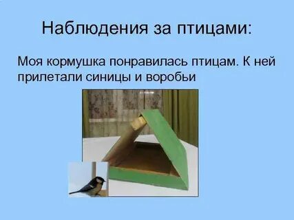 Исследовательская работа птицы