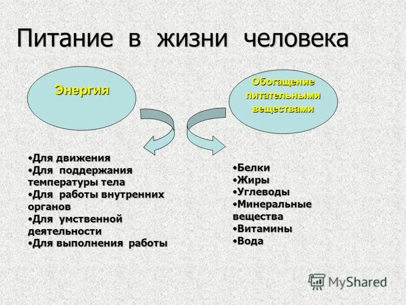 Роль питания в жизни организмов