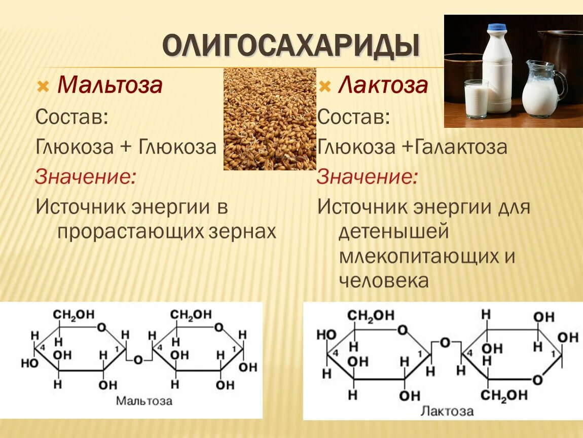 Ферментация лактозы. Мальтоза это олигосахарид. Глюкоза лактоза мальтоза. Формулы Сахаров Глюкоза мальтоза. Олигосахариды сахароза лактоза мальтоза.