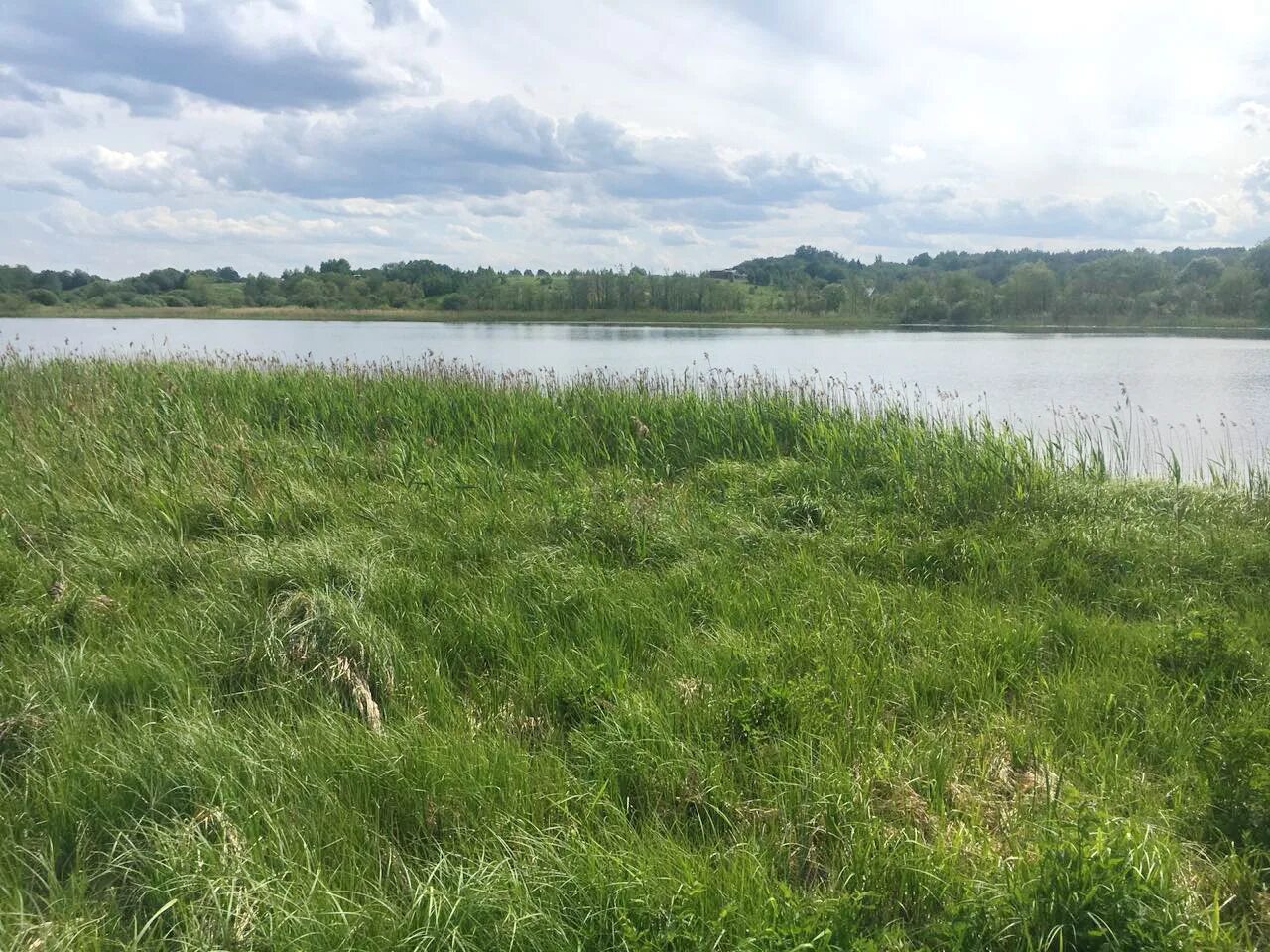 земельные участки в пределах береговой полосы