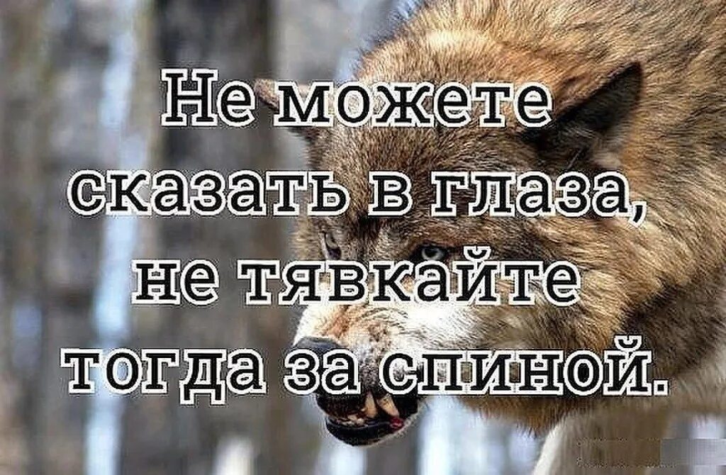 Всегда за твоей спиной. За спиной говорят цитаты. Говорят за глаза цитаты. Не можешь сказать в глаза. Цитаты про то что говорят за спиной.