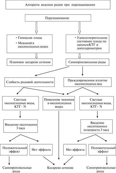 Б п родов. Алгоритм введения преждевременных родов. Алгоритм ведения родов при переношенной беременности. Преждевременные роды алгоритм ведения. Ведение преждевременных родов схема.