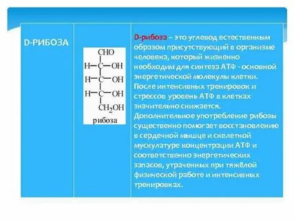 В состав каких органических соединений входит рибоза