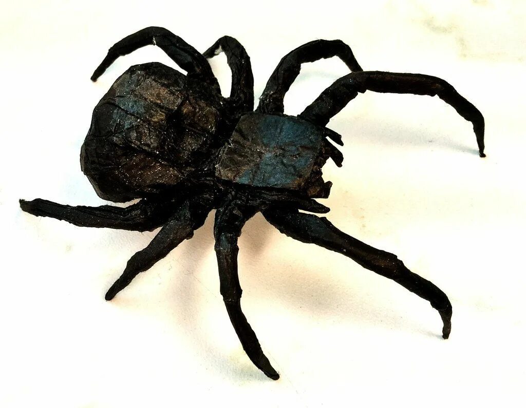 Черный паук хорошо. Блэк Спайдер. Большой черный паук. Черная вдова паук. Черный паук 25.