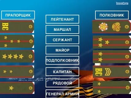 Сроки выслуги в специальном звании лейтенанта