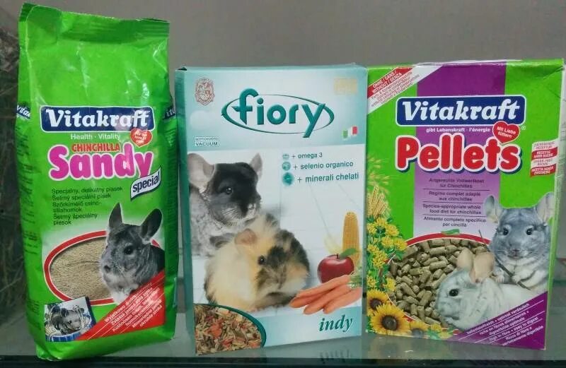 Чем можно кормить шиншиллу