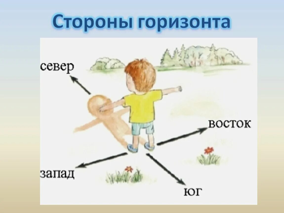 На какой стороне горизонта встает