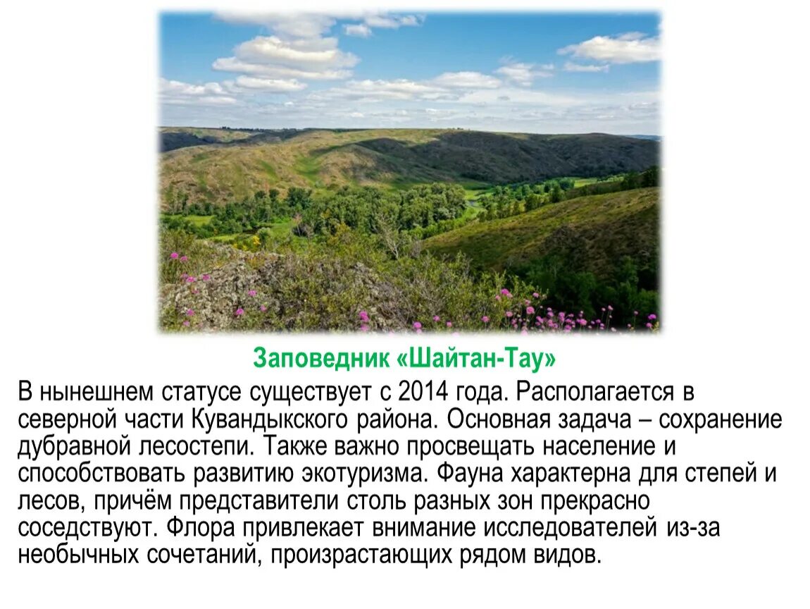 Заповедник шайтан Тау в Оренбургской области. Заказник шайтан-Тау Хайбуллинский. Заповедник шайтан Тау растения. Заповедник шайтан Тау животные. Статус оренбургской области