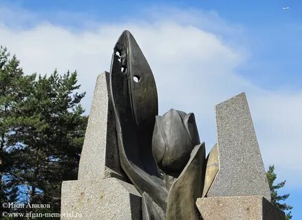 Черный тюльпан хабаровск