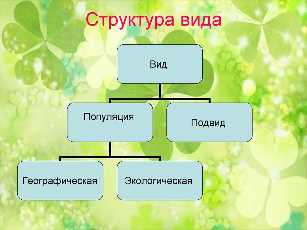 Урок проект биологии. Вид критерии и структура.