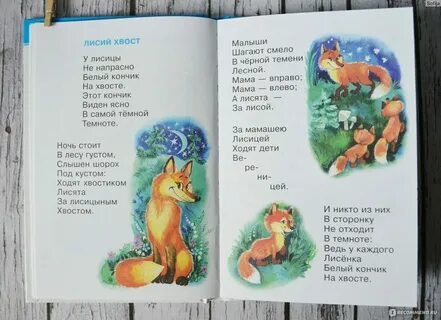 Я не киса а лиса